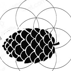 PinealCone