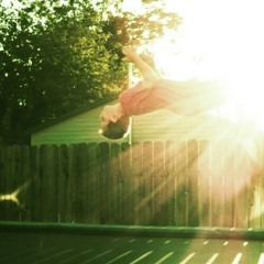 hip_swivler