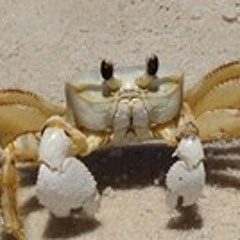 Christopher Overbaugh