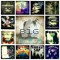 BIG-W a.k.a FLAMER MUSIC