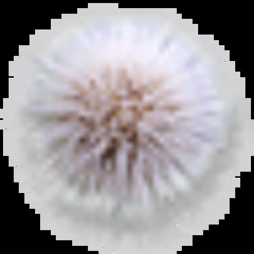 Stream :^) music | Listen to songs, albums, playlists for free on ...