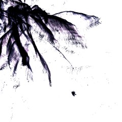Nowhere.Near