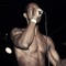 D-Major the Adamant