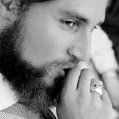 Sebastian Larsson 13