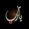 Mohamed Magdy 306