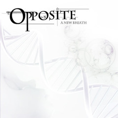 Opposite To X (Official)