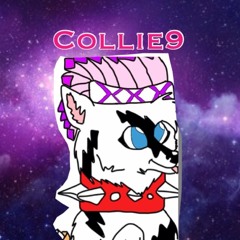 collie9