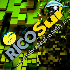 www.ricosur.com