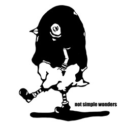 not simple wonders