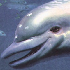 DolphinWaveCollective