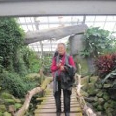 Doris Sarlo