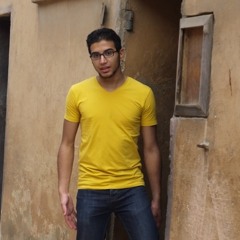 Mohamed 唐 El Kholi