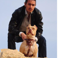 Amir allam