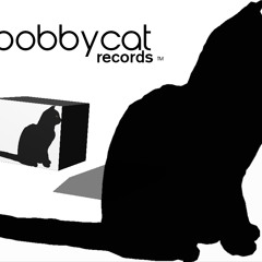 BOBBYCAT REMIXES