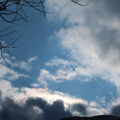 Angelmoon