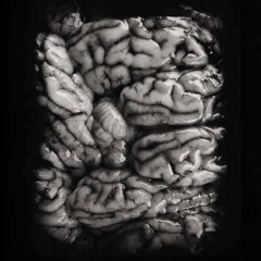 Berlin Afterhour ( Electro, Minimal, Techhouse, Deephouse, TEC)