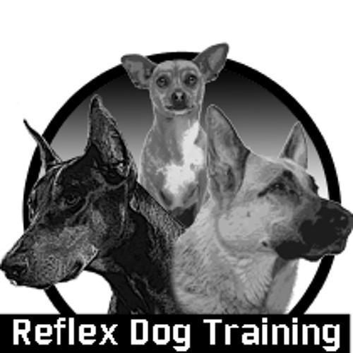 ReflexDogTraining’s avatar