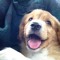 Eddy de Hond