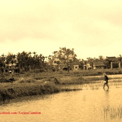 Tinh Ca Que Huong = Quang Le