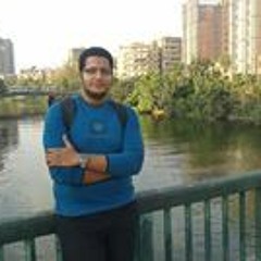 Hussein Badr 1