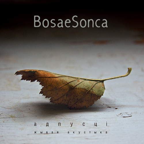 BosaeSonca’s avatar