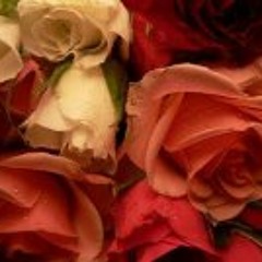 Alzain Mohammad