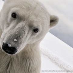 KellyLyn GriffinSherwood