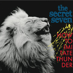 the secret seven