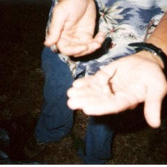 Daniel Stearns