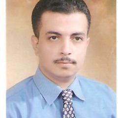 Amr Fo'ad morsy