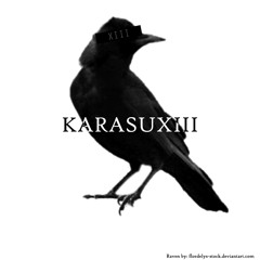 KarasuXIII