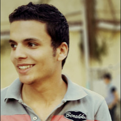 Hussam Elsadany