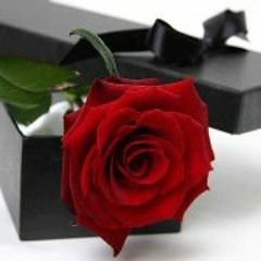 Mariam Ali 4