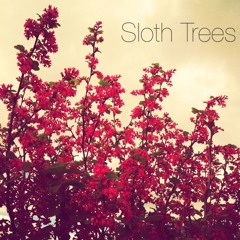 sloth trees