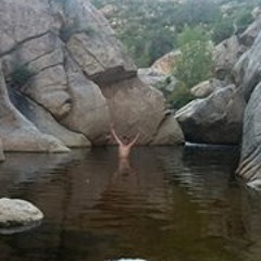 Nicolas Woolstenhulme