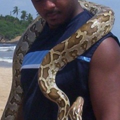 Pryceless 1