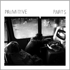 Primitive Parts