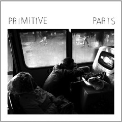 Primitive Parts