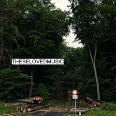 thebelovedmusic