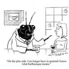 Fillan A Ferguson-Rivers