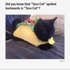 Josef Chasseur DelaPeur