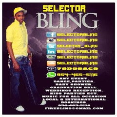 SelectorBling