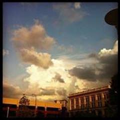 Tara Higgins-Pascucci