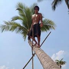 Rafael Quimpo Rosell IV