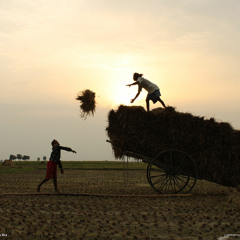 Davy Christian MacKinnon