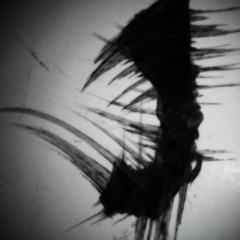 Raze