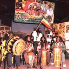 selecta trinity roots