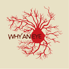 Why an Eye
