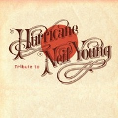 Didier Legoupil Hurricane