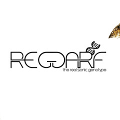 Don Guralesko - Niesiemy Dla Was Bombę (reGGarf remix)